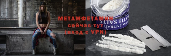 сатива Белокуриха