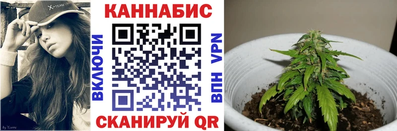 Конопля SATIVA & INDICA  где можно купить   Белово 